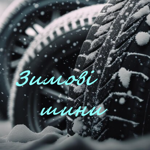 Зимові